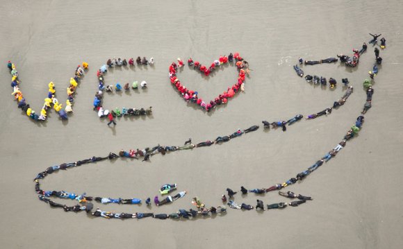 The Pacific Rim Whale Festival