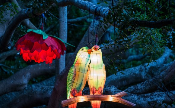 Two song-bird lanterns